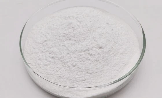 Lactobacillus rhamnosus powder Lactobacillus rhamnosus powder