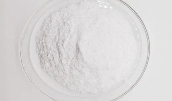 Citicoline powder