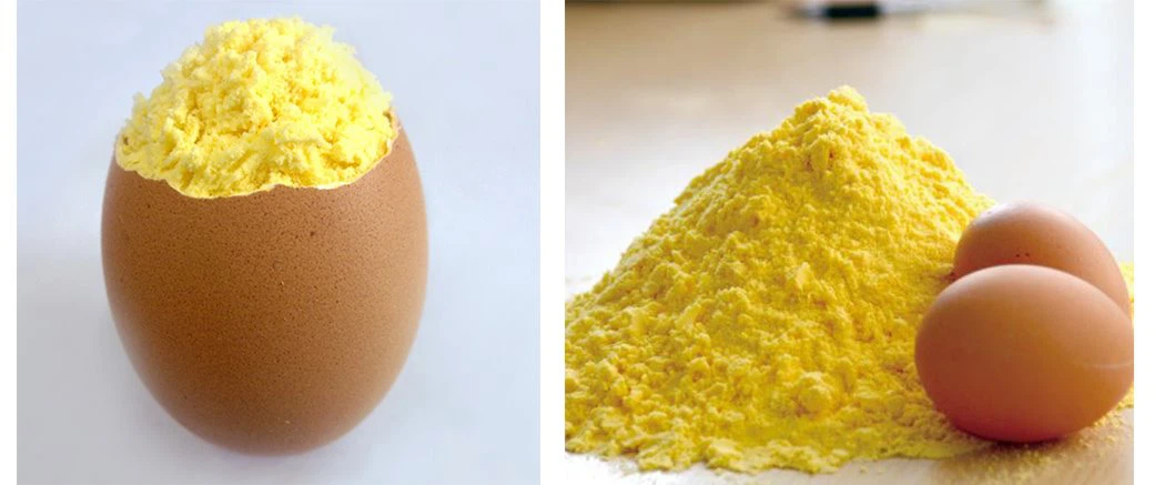 egg yolk powder introduction