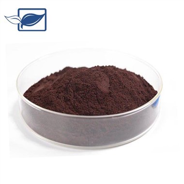 Procijanidin u prahu